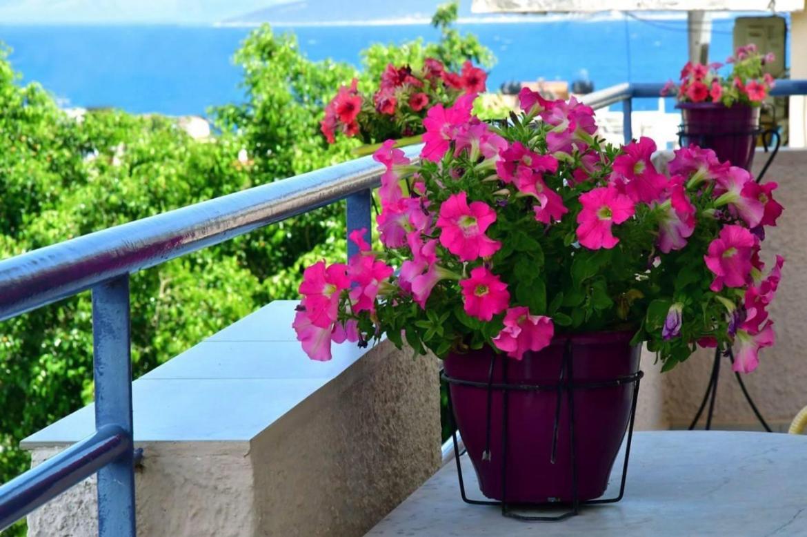 Apartment Konstantinos Tolo